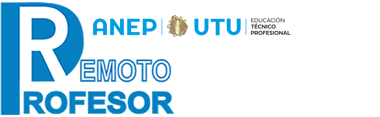 Profesor Remoto